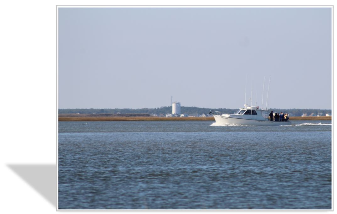 Southern Ocean Real Estate Communities | Stafford | Barnegat | LBI | Waretown | Little Egg Harbor